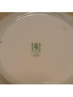 Sümerbank Hat Tabak